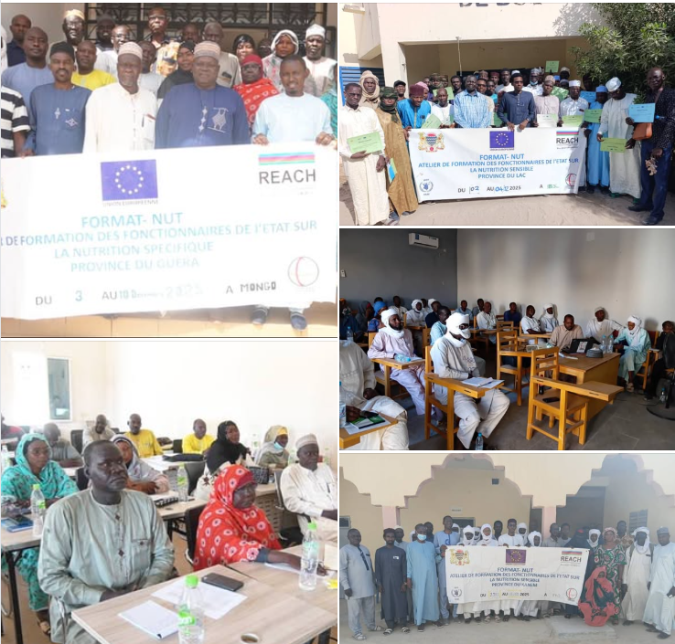 Séries de formation en Nutrition spécifique et sensible